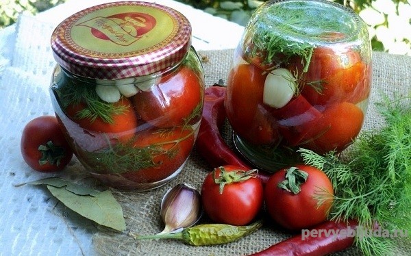 Как мариновать острые помидоры