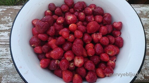 ягоды клубники