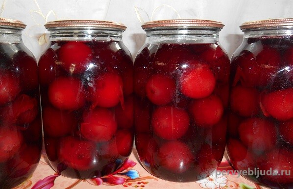 как консервировать сливы целиком с косточкой на зиму. Смотреть фото как консервировать сливы целиком с косточкой на зиму. Смотреть картинку как консервировать сливы целиком с косточкой на зиму. Картинка про как консервировать сливы целиком с косточкой на зиму. Фото как консервировать сливы целиком с косточкой на зиму