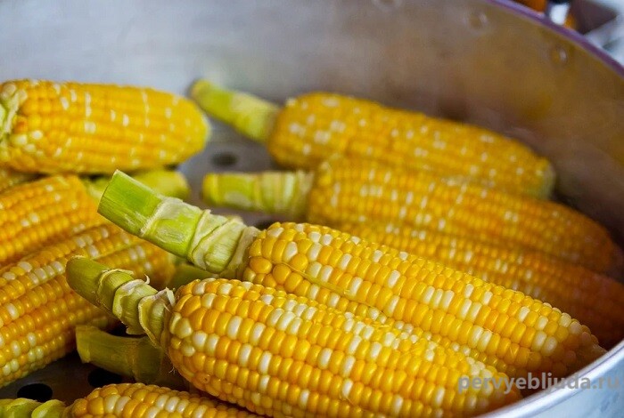 Как сварить вкусную кукурузу в початках