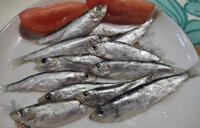 секрет при варке пельменей. Смотреть фото секрет при варке пельменей. Смотреть картинку секрет при варке пельменей. Картинка про секрет при варке пельменей. Фото секрет при варке пельменей секрет при варке пельменей. Смотреть фото секрет при варке пельменей. Смотреть картинку секрет при варке пельменей. Картинка про секрет при варке пельменей. Фото секрет при варке пельменей