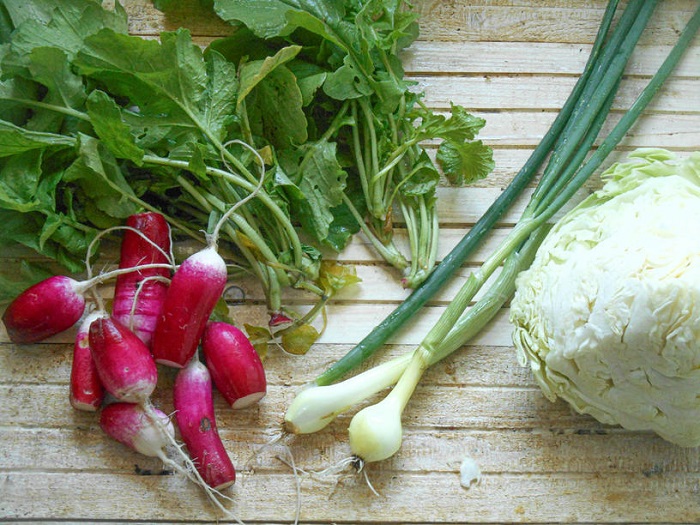 ингредиенты для приготовления салата с редисом и капустой