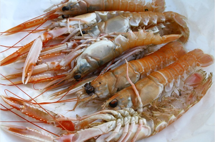Лангустины: свойства, особенности морепродукта и его отличия от креветок