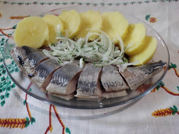 Селедка с картошкой и маринованным луком — вкусная холодная закуска