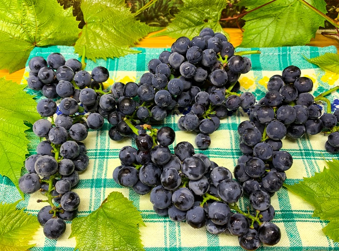 сушим виноград